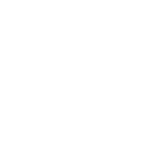 Cryptorino Casino